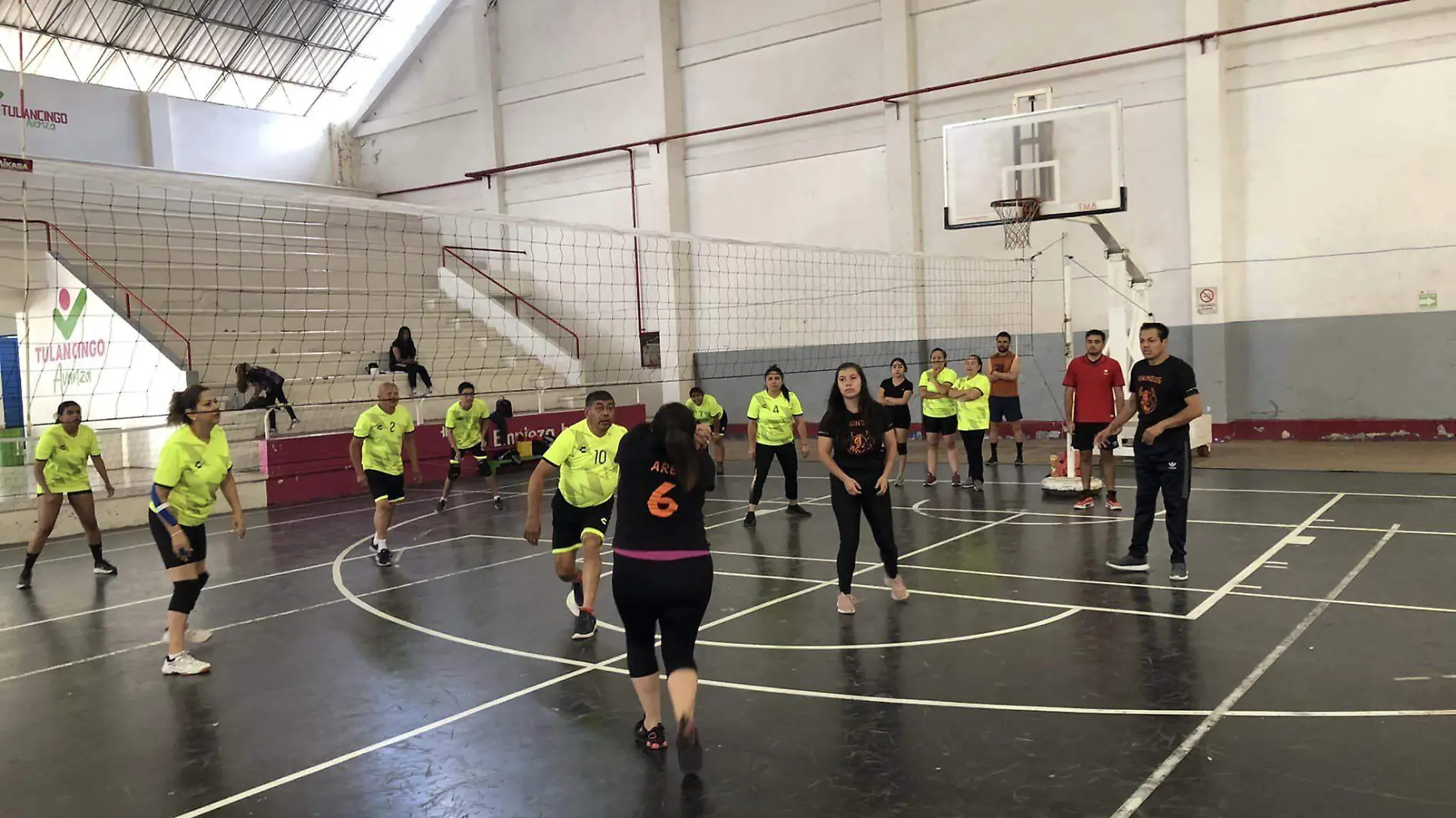 TGO VOLEIBOL1